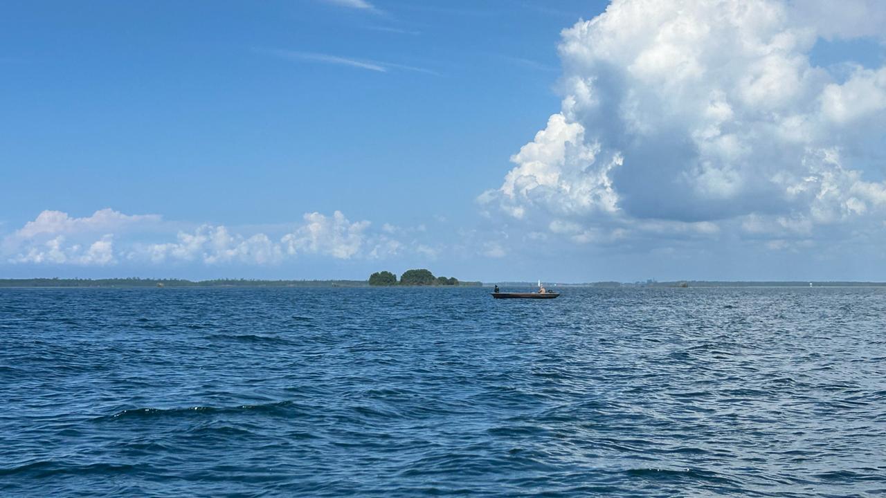 Kawasan konservasi laut, Tobok Batang, berjarak sekitar 2,5 hingga 3 km dari Pulau Kedindingan. (Fitri Wahyuningsih/Kaltim Today)